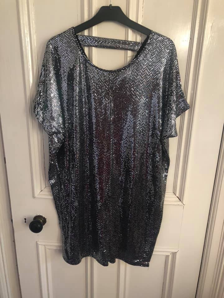 NEW ARRIVAL Gorgeous Silver sequinned sparkly tunic top or... - Wood ...